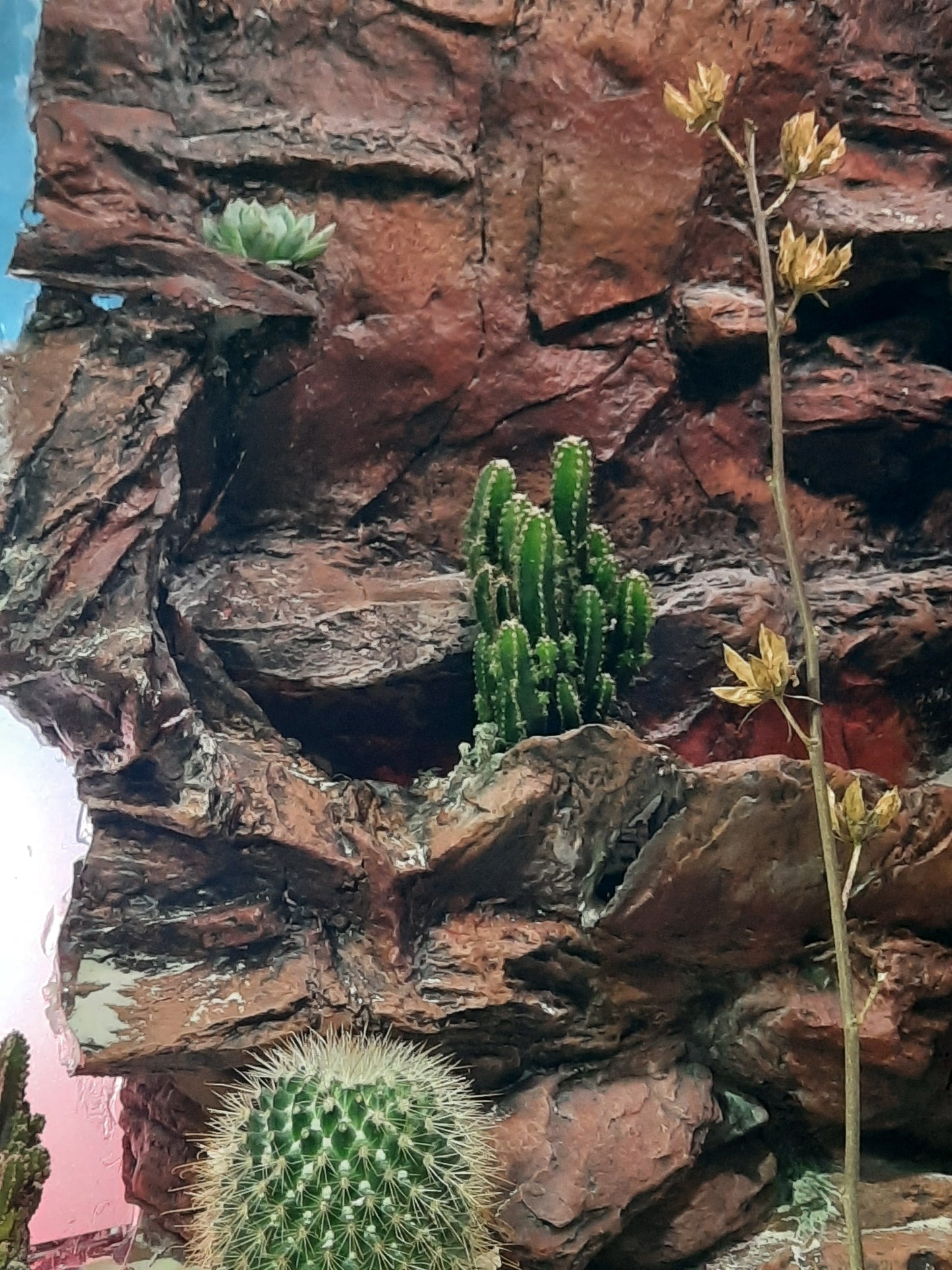 Rocky Waterfall