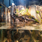 Riverbank