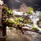 Riverbank
