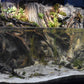 Riverbank