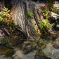 Riverbank