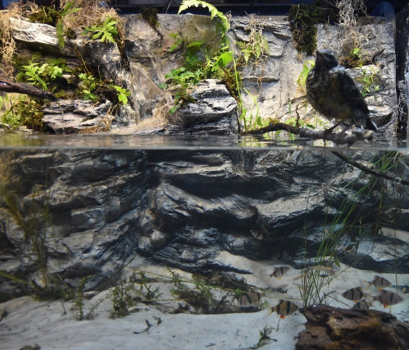 Rocky Waterfall