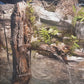 Riverbank